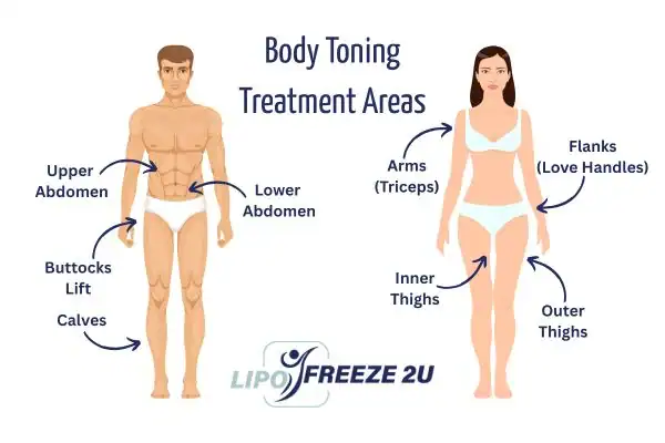 Graphic showing where you can have Body toning Treatment Southend-on-Sea on your body